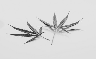 Лечение наркомании в Звенигороде